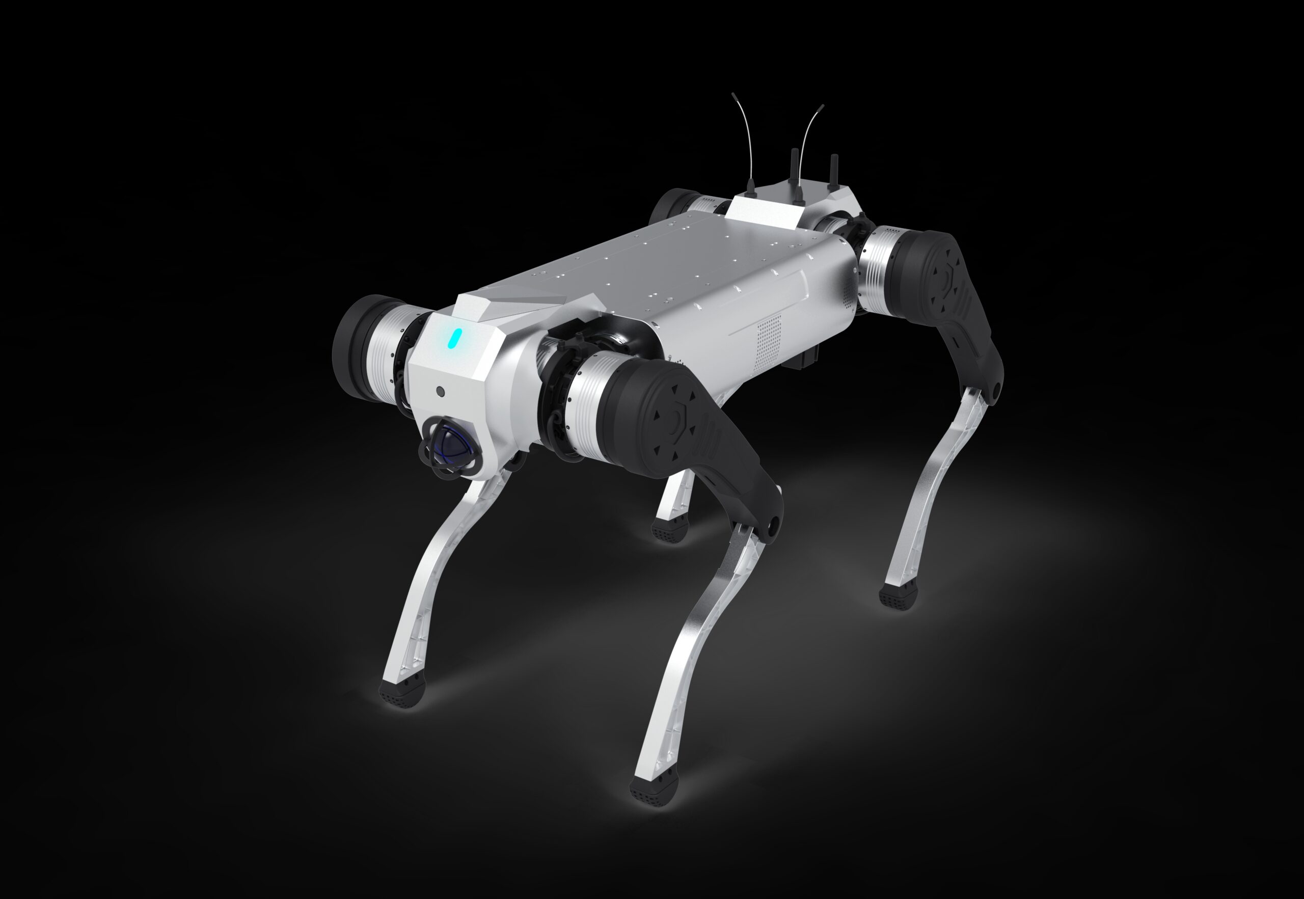 images
